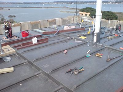 pic3